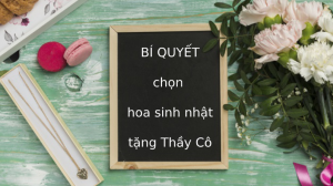 Chia sẻ bí quyết chọn hoa sinh nhật tặng thầy cô