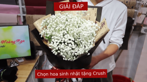 Giải đáp thắc mắc khi chọn hoa sinh nhật tặng Crush