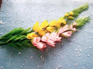 Gợi ý cách chọn hoa lay ơn làm quà vào những dịp đặc biệt