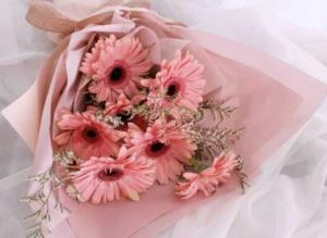 Ý nghĩa đặc biệt của những bó hoa đồng tiền