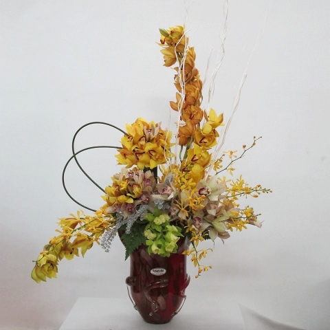 Hoa địa lan - Loài hoa tượng trưng cho phú quý và sắc đẹp