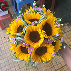 Hoa cầm tay hoa hướng dương