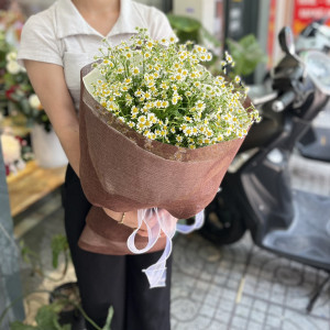 Bó hoa cúc tana đẹp