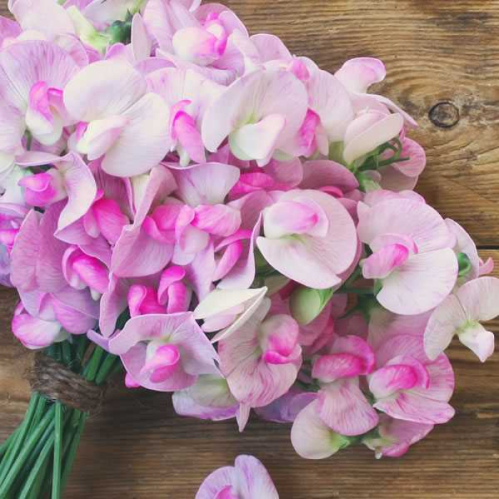 Hoa sinh nhật tháng 4 ý nghĩa dành tặng người thân, bạn bè 1760459691