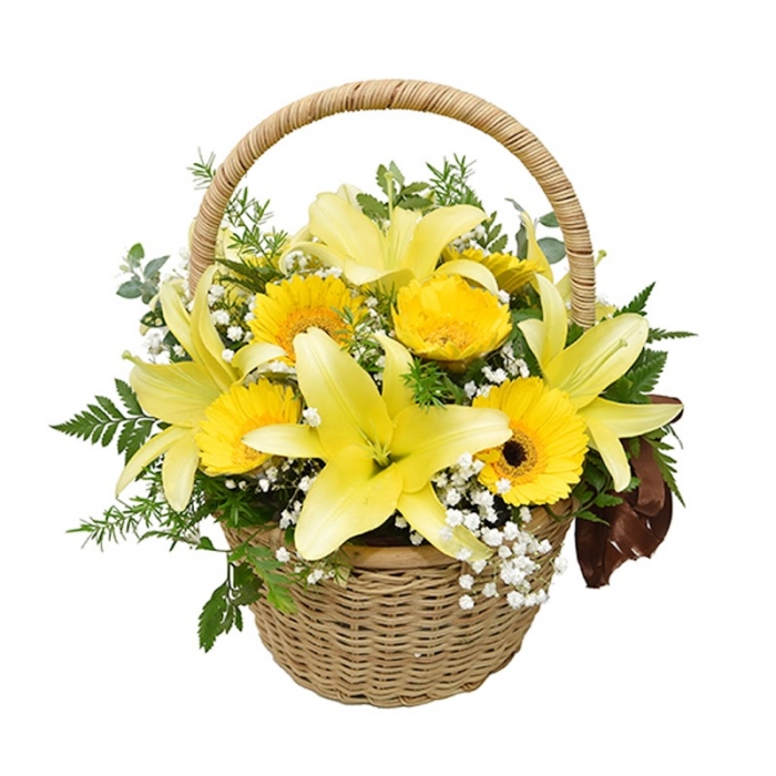 Bí quyết lựa chọn giỏ hoa khai trương giá rẻ, đẹp nhất và nhỏ gọn nhất 1341789531