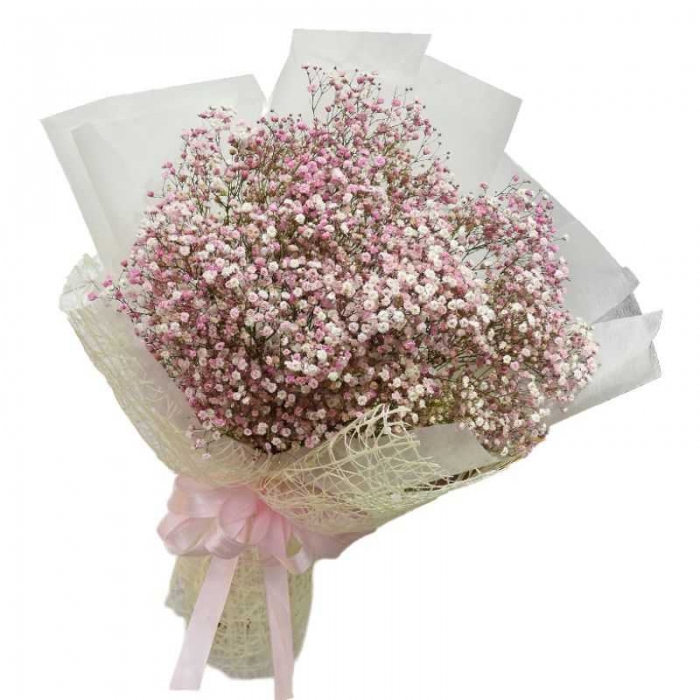 Gợi ý 13 bó hoa baby đẹp, giá tốt nhất cho bạn [Mốt nhất] 148882229