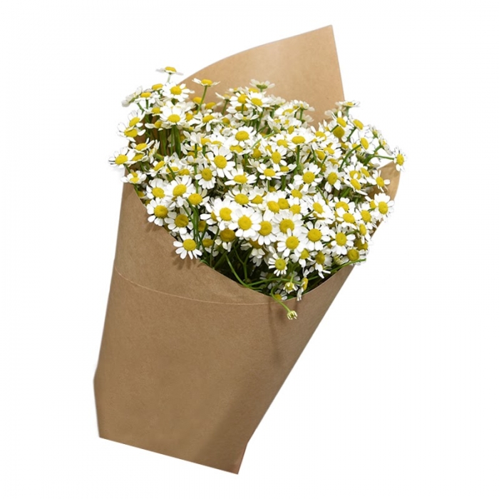 Tổng hợp 10 lời chúc sinh nhật ý nghĩa độc đáo 846032660