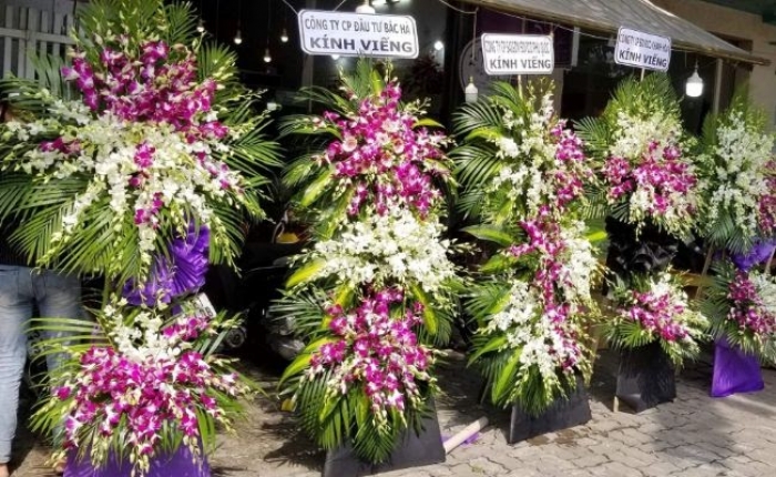 Ý nghĩa của các loại hoa đám tang màu tím ít người biết 437059486