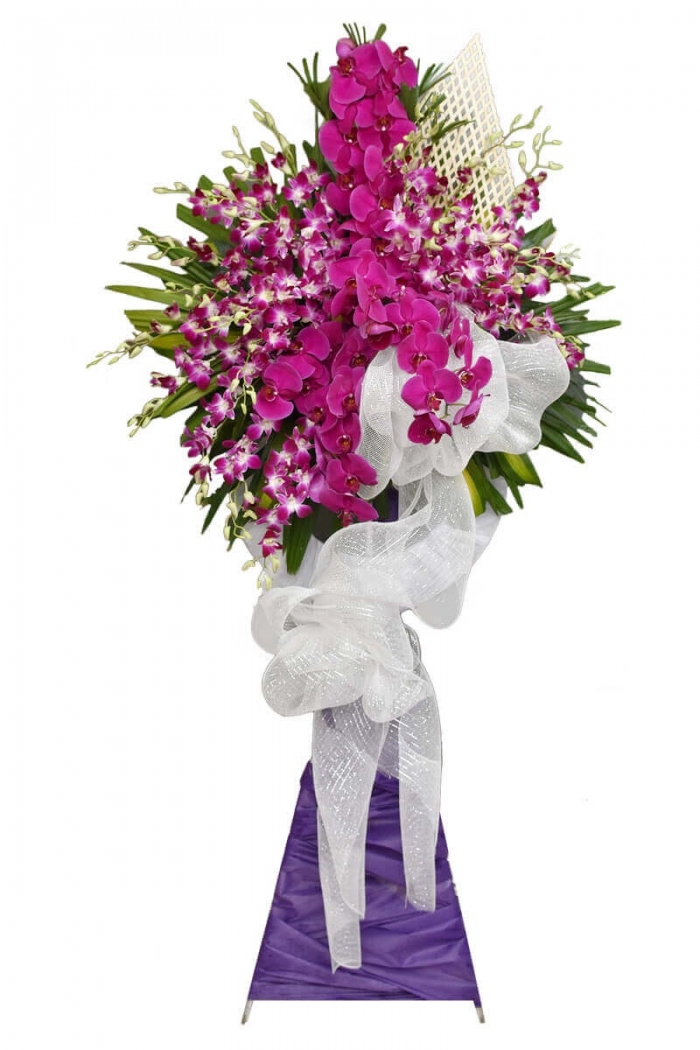 Ý nghĩa của các loại hoa đám tang màu tím ít người biết 437059486