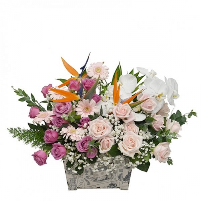 Cách chọn hoa sinh nhật cho người lớn tuổi ý nghĩa và tinh tế 938479738