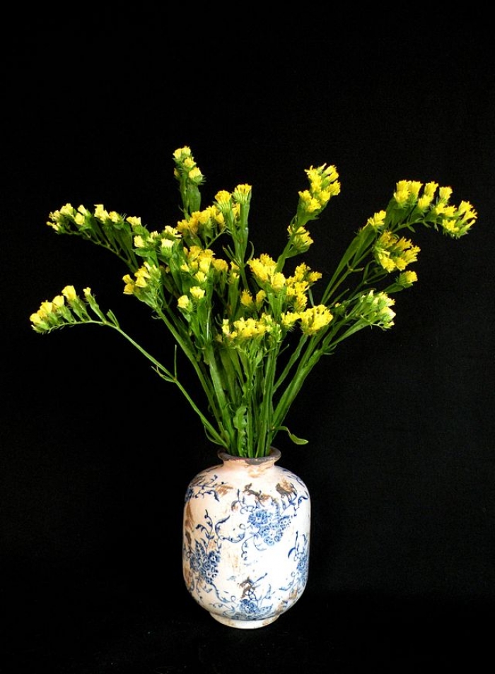 Nguồn gốc và ý nghĩa của hoa salem trắng, tím, hồng & vàng 228944203