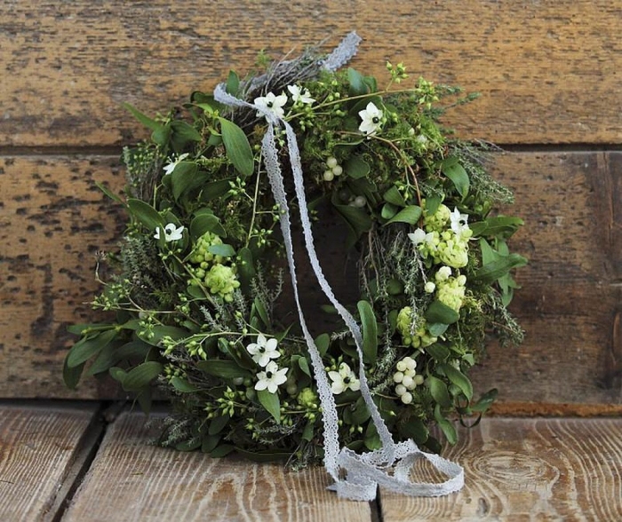 Khám phá ý nghĩa cây tầm gửi và cách chăm sóc cây tầm gửi 226042764