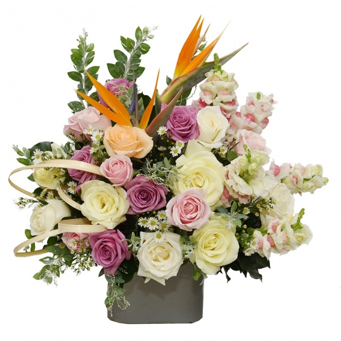 Gợi ý cho bạn những món quà sinh nhật cho sếp tinh tế và ý nghĩa 1502763338