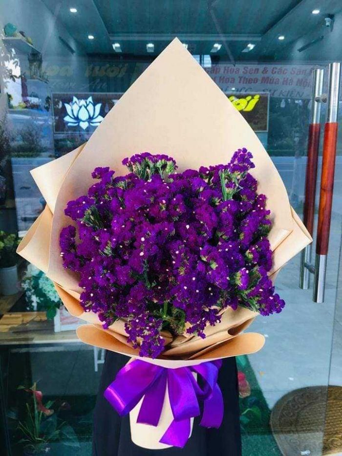 Gợi ý những bó hoa Salem đẹp mang ý nghĩa 1824710808