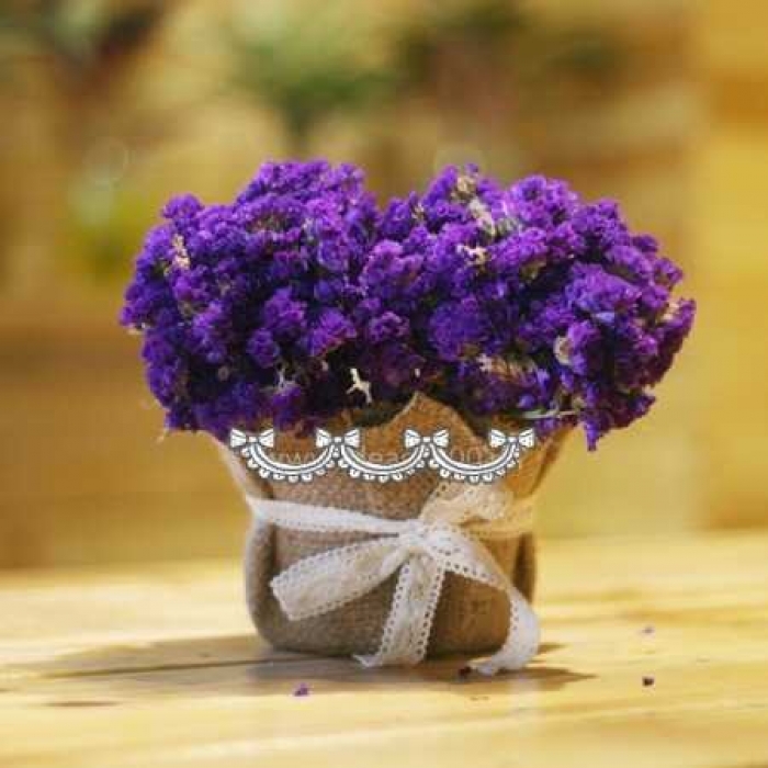 Gợi ý những bó hoa Salem đẹp mang ý nghĩa 1824710808