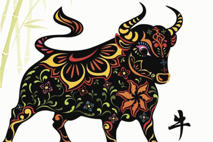 Tặng hoa sinh nhật cho người tuổi Sửu 1783737288