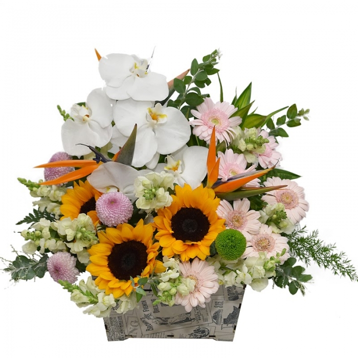 5 lý do khiến hoa hồng trở thành món quà được yêu thích nhất dịp sinh nhật 1906623642