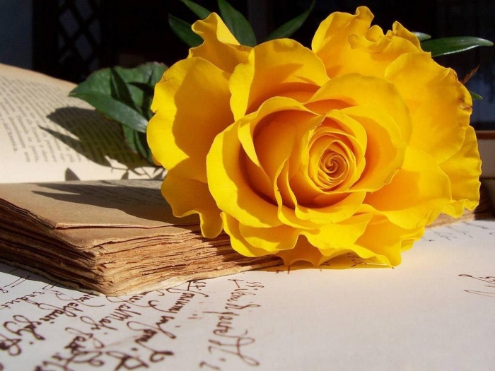 Hoa sinh nhật đẹp tặng bạn thân 299 mẫu hoa đẹp nhất