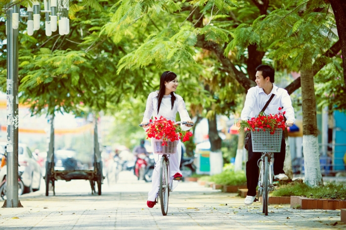 Hoa phượng: Nguồn gốc, ý nghĩa và công dụng trong đời sống 934439875