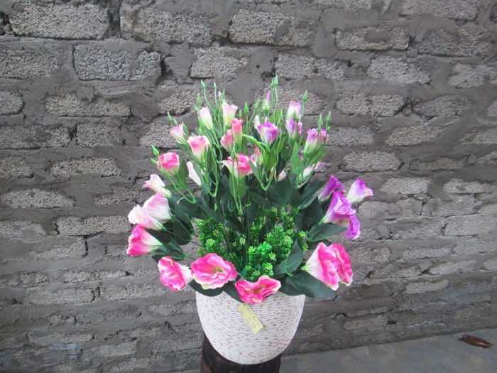 Nguồn gốc, ý nghĩa và công dụng của hoa cát tường 966332188