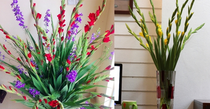 Gợi ý cách chọn hoa lay ơn làm quà vào những dịp đặc biệt 926285007