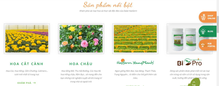 Đặt Hoa viếng tang lễ Quận Gò Vấp - Tinh tế và ý nghĩa 1458049004