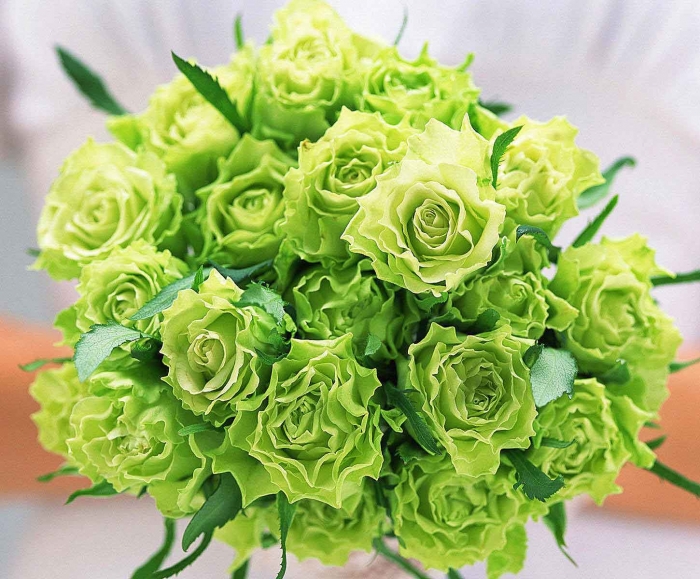 Hướng dẫn cách chọn hoa sinh nhật cho người mệnh Mộc 675329925