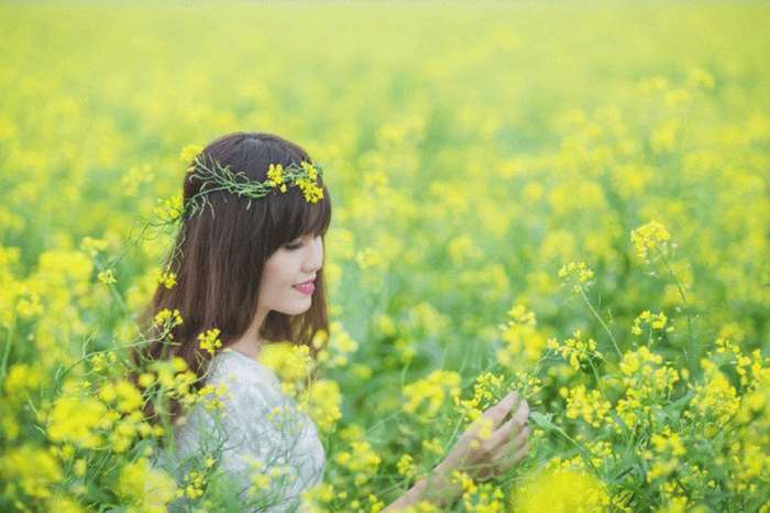 Những công dụng và ý nghĩa tuyệt vời của hoa cải 1889008232