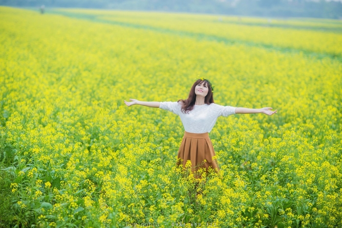 Những công dụng và ý nghĩa tuyệt vời của hoa cải 1889008232