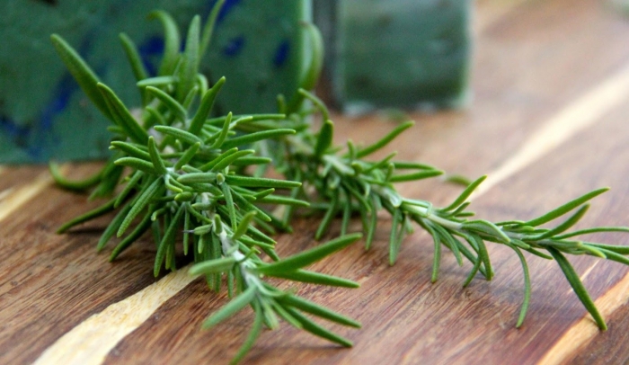 Cây hương thảo - Xuất xứ, công dụng và ý nghĩa trong cuộc sống 388536104