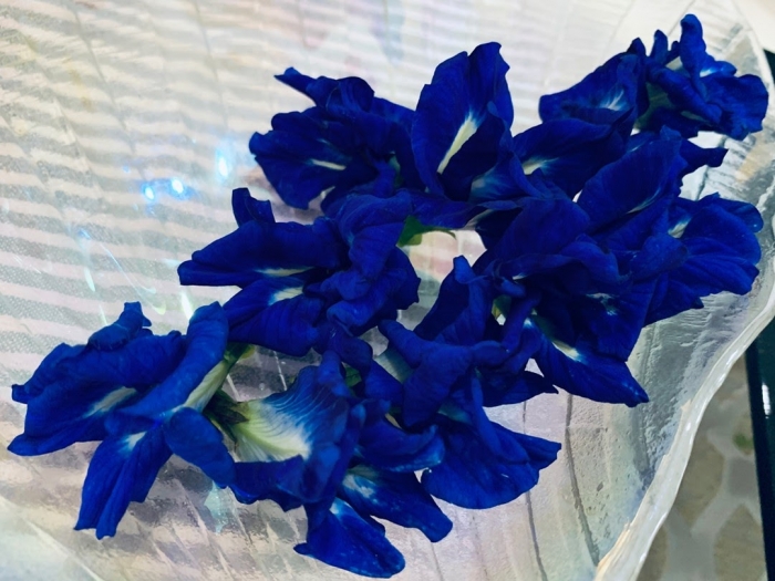 Hoa đậu biếc và công dụng tuyệt vời của hoa đậu biếc 1002113523