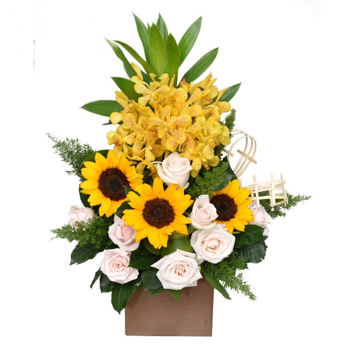 Những loại hoa nên tặng đồng nghiệp nhân dịp sinh nhật 279101450