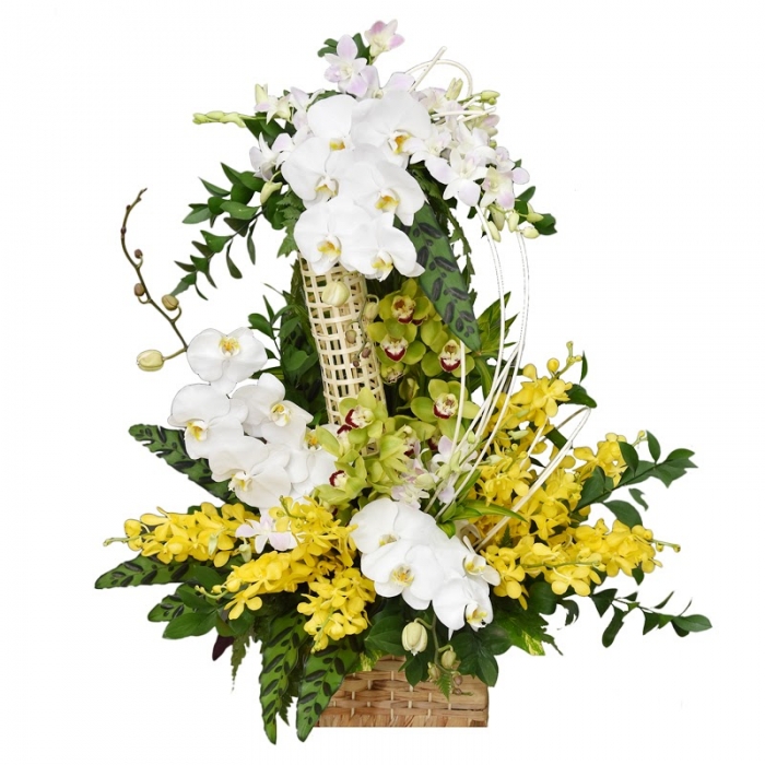 Bí quyết lựa chọn hoa sinh nhật theo độ tuổi người nhận 790322040