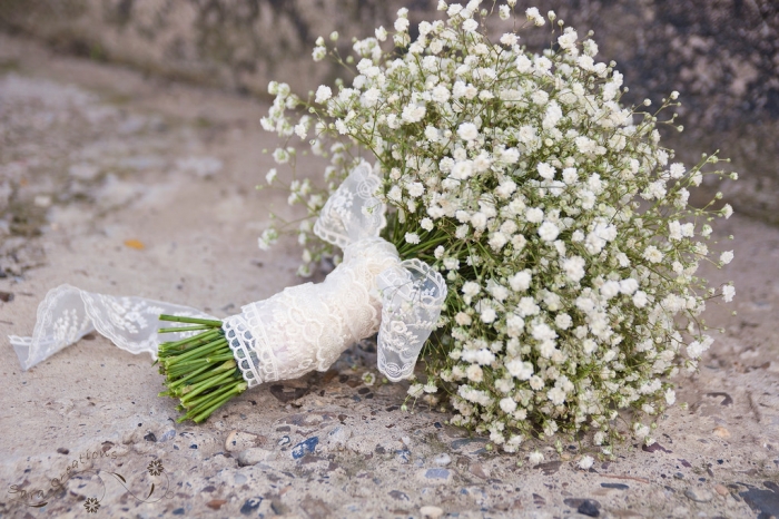 Những điều cần biết về cây hoa ngàn sao 911998522