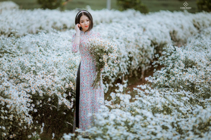 Những điều cần biết về cây hoa ngàn sao 911998522