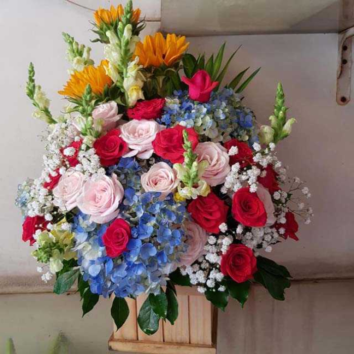 Đặt hoa sinh nhật quận Tân Bình giá rẻ giao ngay 494885579