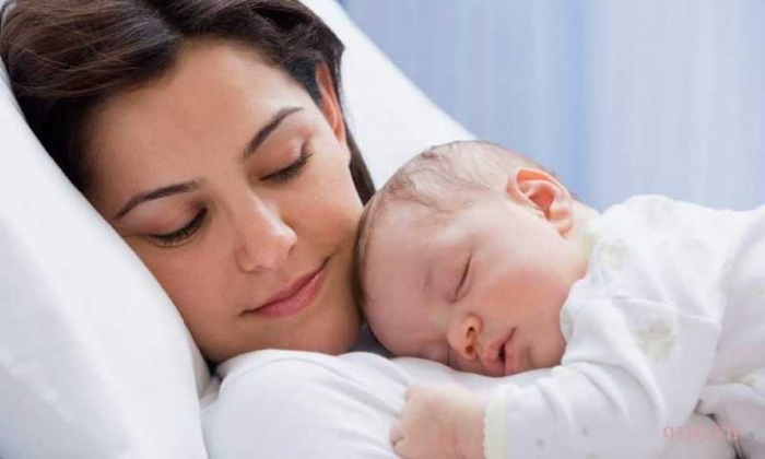 Hoa Lily có đặc điểm gì? Tìm hiểu ý nghĩa, công dụng của loài hoa này 152002263