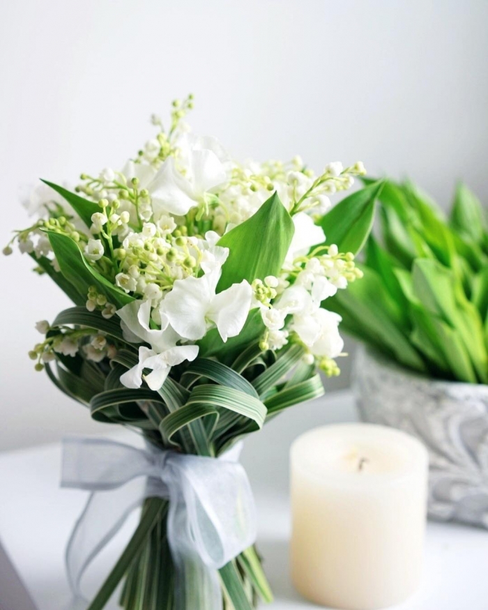 Hoa Lily có đặc điểm gì? Tìm hiểu ý nghĩa, công dụng của loài hoa này 152002263