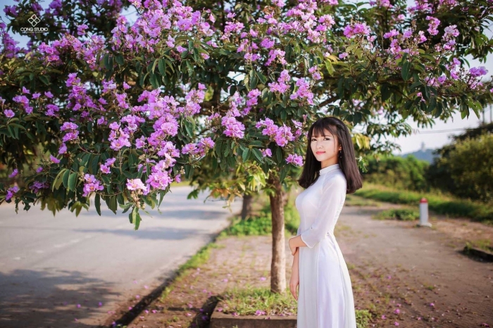 Tìm hiểu về đặc điểm, ý nghĩa của hoa bằng lăng 2000915194