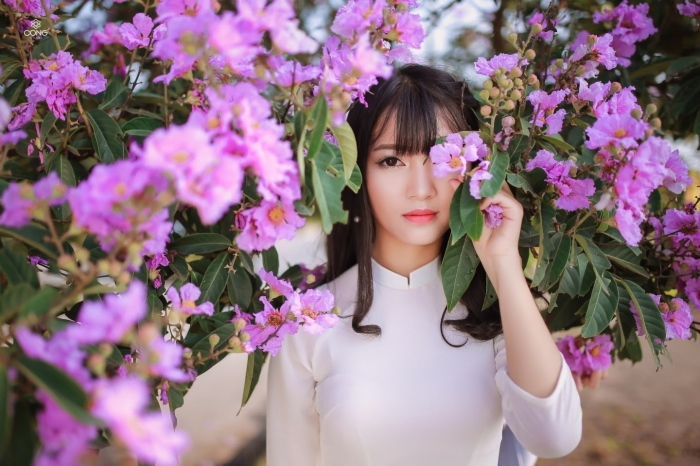 Tìm hiểu về đặc điểm, ý nghĩa của hoa bằng lăng 2000915194