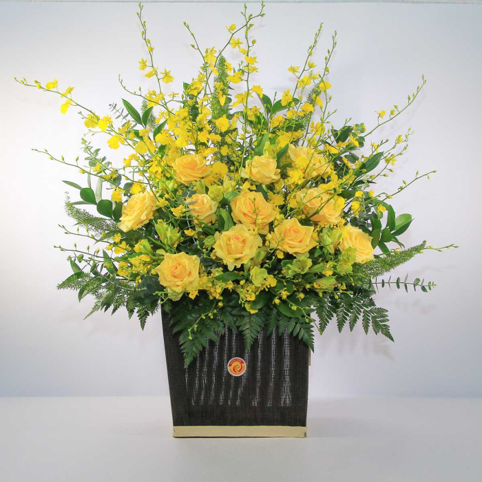 Hoa sinh nhật tháng 12 đẹp và ý nghĩa nhất 1671492301