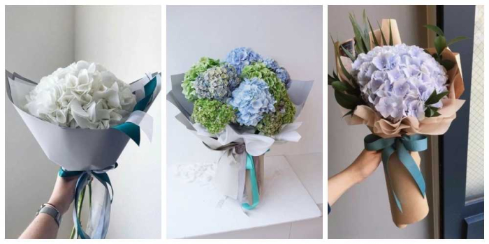 Hoa sinh nhật tháng 12 đẹp và ý nghĩa nhất 1874834036