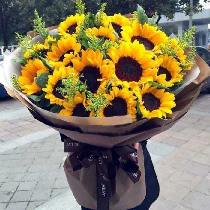 Hoa sinh nhật tháng 12 đẹp và ý nghĩa nhất 1874834036