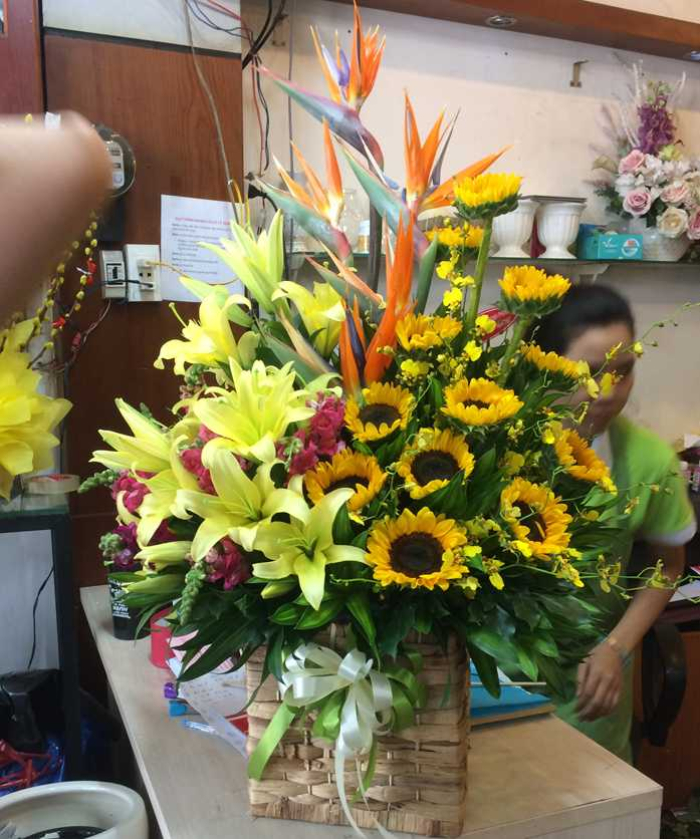 Hoa sinh nhật tháng 12 đẹp và ý nghĩa nhất 1874834036