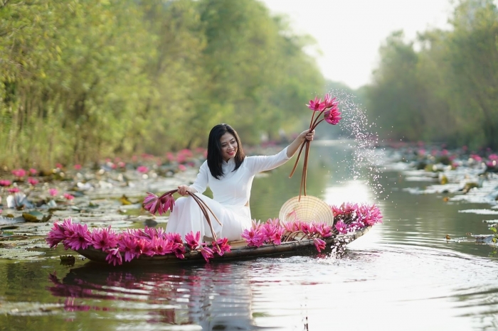 Nguồn gốc và ý nghĩa tuyệt vời của hoa súng 480572922