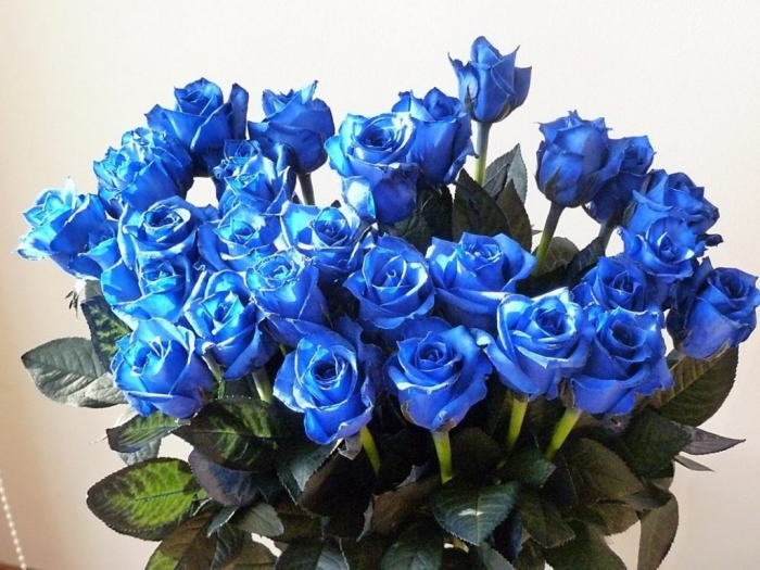 Tặng hoa sinh nhật cho người tuổi Hợi 762821658