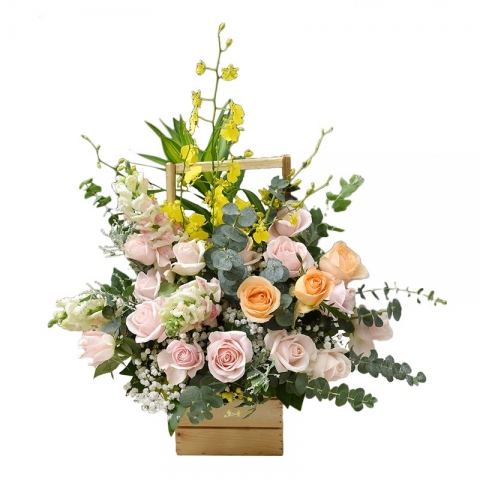 Tổng hợp 50 mẫu câu chúc mừng khai trương cửa hàng hay nhất 741930670