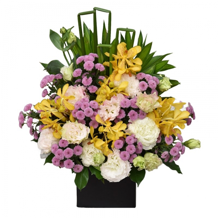 Tổng hợp 50 mẫu câu chúc mừng khai trương cửa hàng hay nhất 741930670