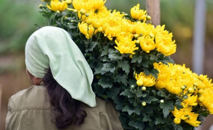 Cách chọn hoa đám tang người già, người lớn tuổi phù hợp 1350273020