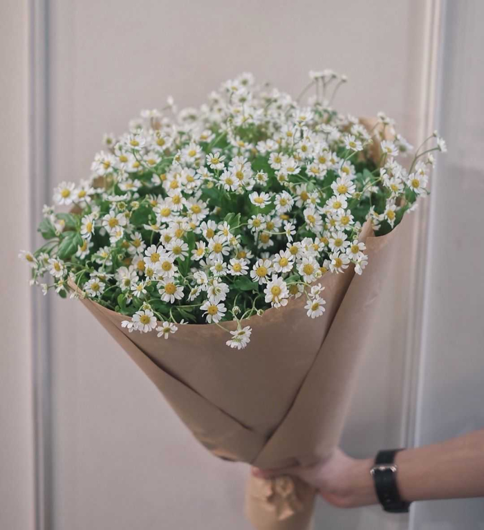 Hoa sinh nhật tháng 11 đẹp và ý nghĩa của tháng 11 1044833842